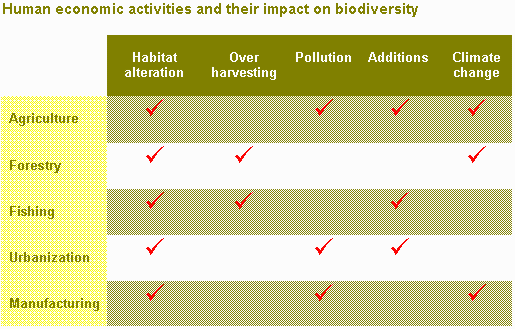Activity Which Leads To Loss Of Biodiversity